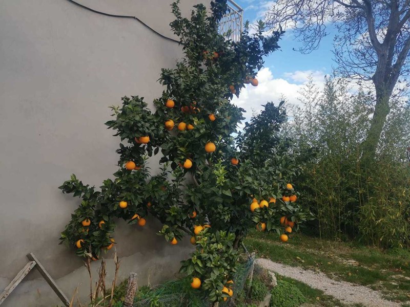 Casa Indipendente in Vendita a Montebello di Bertona, zona Frazione, 150'000€, 276 m²