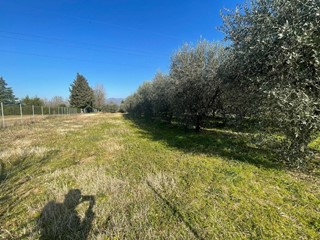 Terreno agricolo in Vendita a Capannori, zona Lammari, 65'000€, 5013 m²