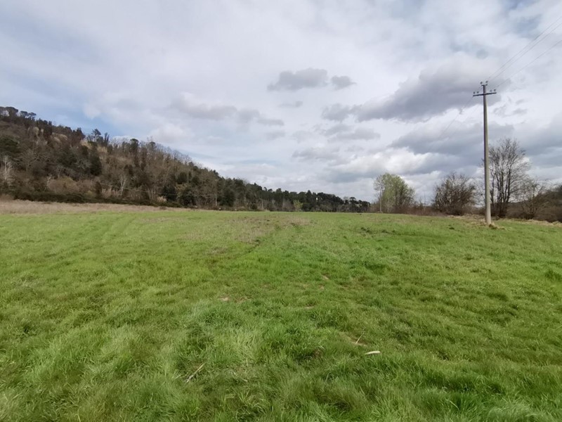 Terreno agricolo in Vendita a Palaia, 25'000€, 21620 m²