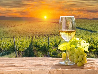 Attività commerciale in Vendita a Dolegna del Collio, 3456 m²