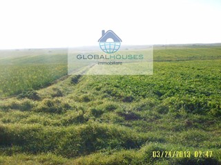 Terreno agricolo in Vendita a Anguillara Sabazia, 60'000€, 30100 m²