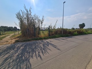 Terreno agricolo in Vendita a Sellia Marina, zona Ruggero, 99'000€, 14000 m²
