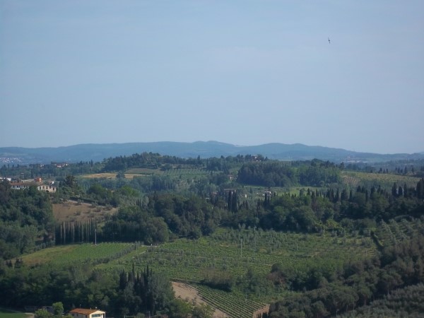 Terreno agricolo in Vendita a San Miniato, zona Cusignano, 90'000€, 40000 m²