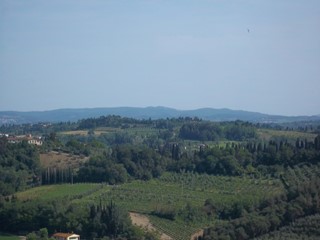 Terreno agricolo in Vendita a San Miniato, zona Cusignano, 90'000€, 40000 m²