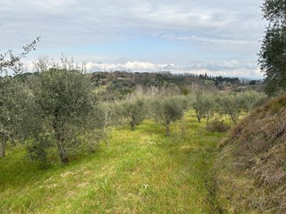 Terreno agricolo in Vendita a Empoli, zona Corniola, 55'000€, 20000 m²