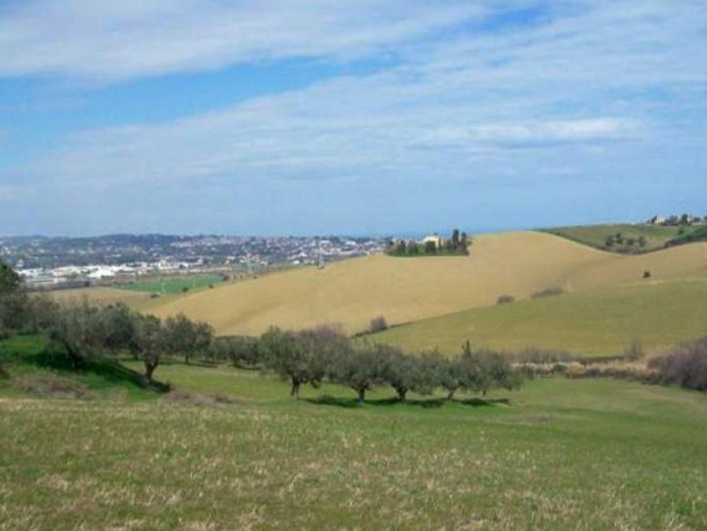 Terreno agricolo in Vendita a San Miniato, 10'000€, 7500 m²