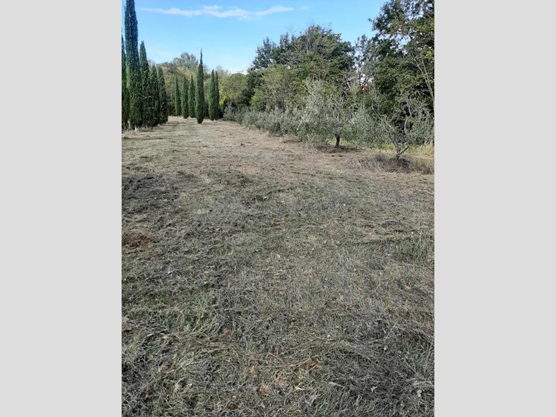 Terreno agricolo in Vendita a Casciana Terme Lari, zona San Ruffino, 15'000€, 2730 m²