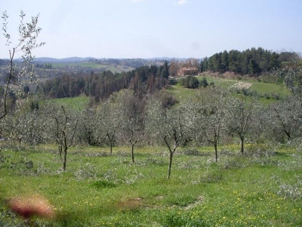 Terreno agricolo in Vendita a San Miniato, zona Calenzano, 50'000€, 34360 m²