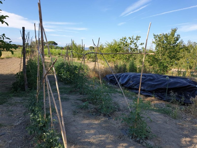 Terreno edificabile in Vendita a San Miniato, 50'000€, 900 m²