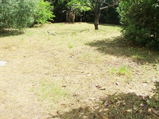 Villa in Vendita a Pontedera, 600'000€, 300 m², con Box