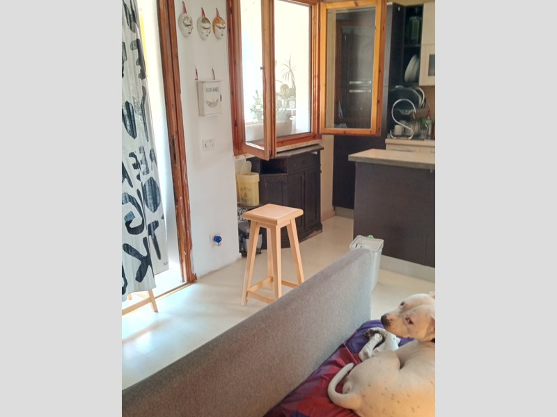 Monolocale in Vendita a Viareggio, zona Torre del Lago Puccini, 85'000€, 60 Mtq di cui 30 calpestabili