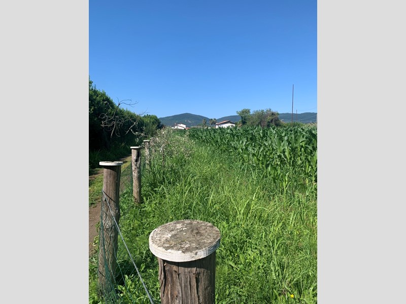 Terreno agricolo in Vendita a Castelnuovo Magra, 30'000€, 3000 m²