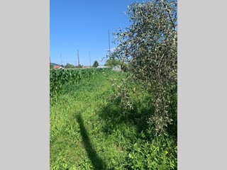 Terreno agricolo in Vendita a Castelnuovo Magra, 30'000€, 3000 m²