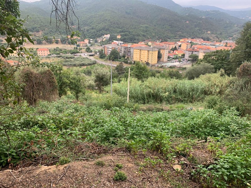Terreno edificabile in Vendita a Quiliano, 40'000€, 19000 m²