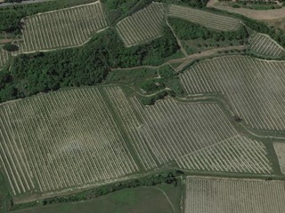 Terreno agricolo in Vendita a San Miniato, 1'200'000€, 240000 m²