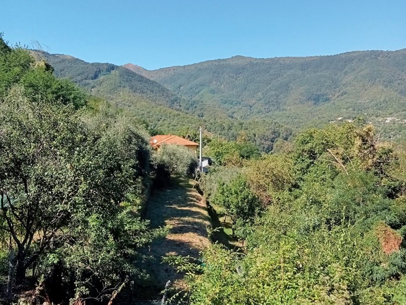 Casa Semi Indipendente in Vendita a Calice al Cornoviglio, zona Borseda - Debeduse, 30'000€, 90 m²