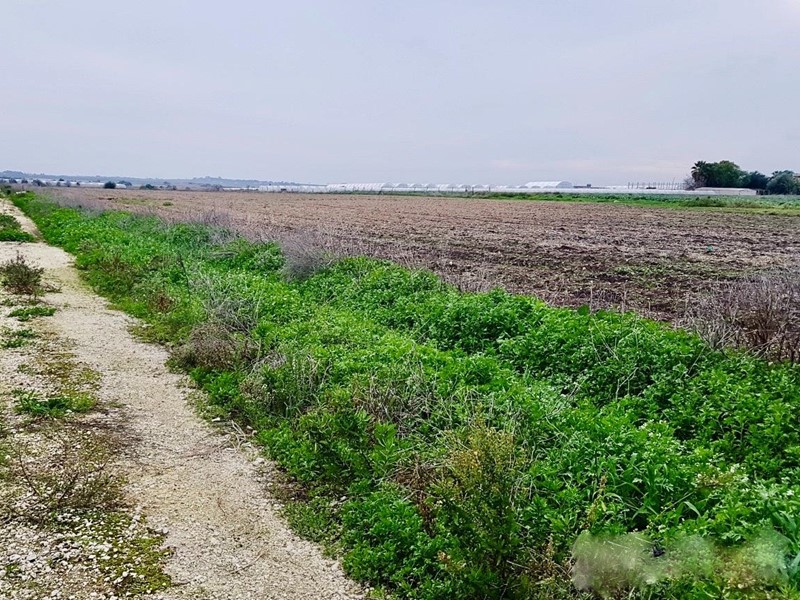 Terreno agricolo in Vendita a Calcinaia, 90'000€, 22700 m²