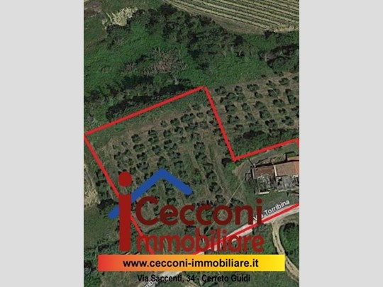 Terreno edificabile in Vendita a Cerreto Guidi, 110'000€, 3200 m²