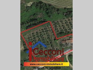 Terreno edificabile in Vendita a Cerreto Guidi, 110'000€, 3200 m²