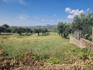 Terreno industriale in Vendita a Marcellina, 199'000&euro;, 25000 m²