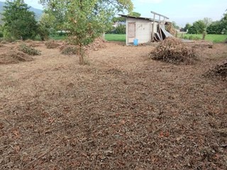 Terreno agricolo in Vendita a Massa, 23'000€, 1000 m²