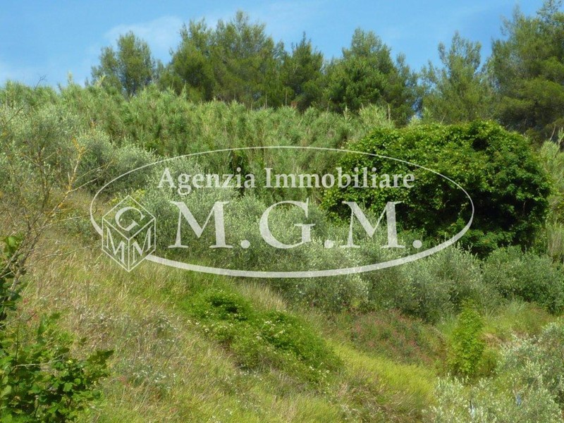 Terreno agricolo in Vendita a Palaia, zona Chiecinella, 69'000€, 9000 m²