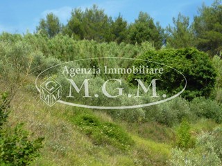 Terreno agricolo in Vendita a Palaia, zona Chiecinella, 69'000€, 9000 m²