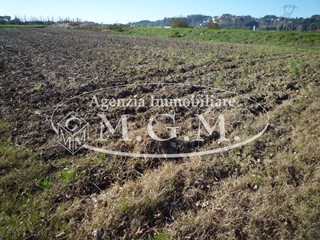Terreno agricolo in Vendita a Santa Maria a Monte, 10'000€, 2500 m²