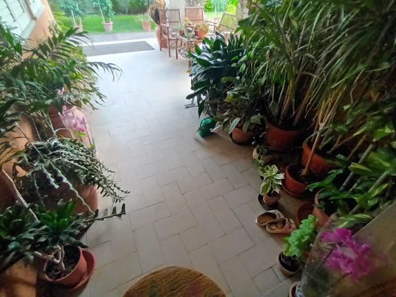 Villa in Vendita a Lucca, zona Sant'Angelo In Campo, 800'000€, 220 m², con Box