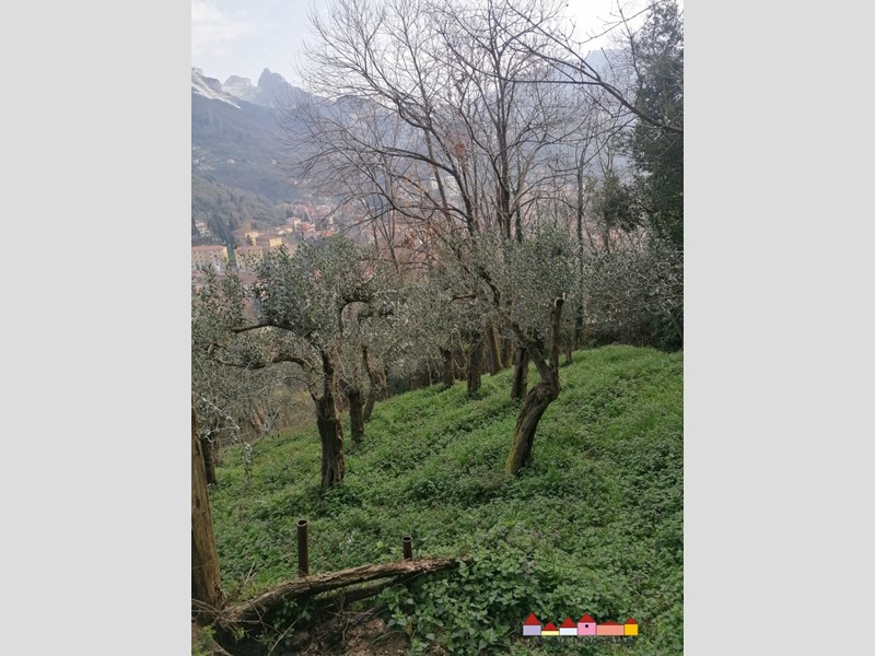 Terreno edificabile in Vendita a Carrara, 450'000€, 3000 m²