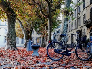 Immobile commerciale in Affitto a Lucca, zona Centro storico, 2'500€, 225 m²