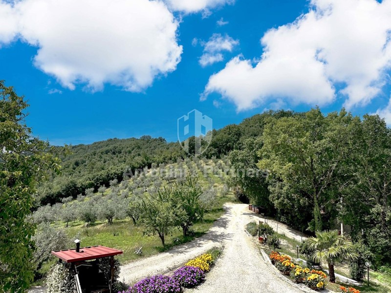 Casa Indipendente in Vendita a Collazzone, 460'000€, 290 m²