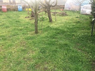 Villa bifamiliare in Vendita a Cascina, zona San Benedetto a Settimo, 292'000€, 115 m², con Box