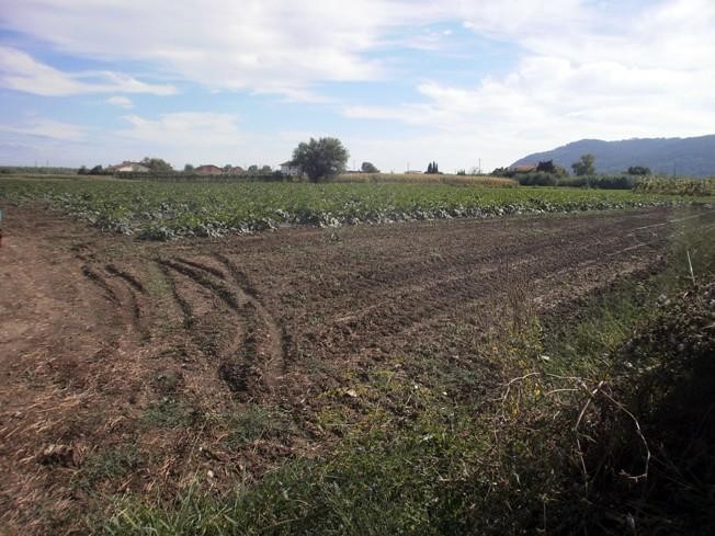 Terreno agricolo in Vendita a Sarzana, zona San Lazzaro, 25'000€, 2200 m²
