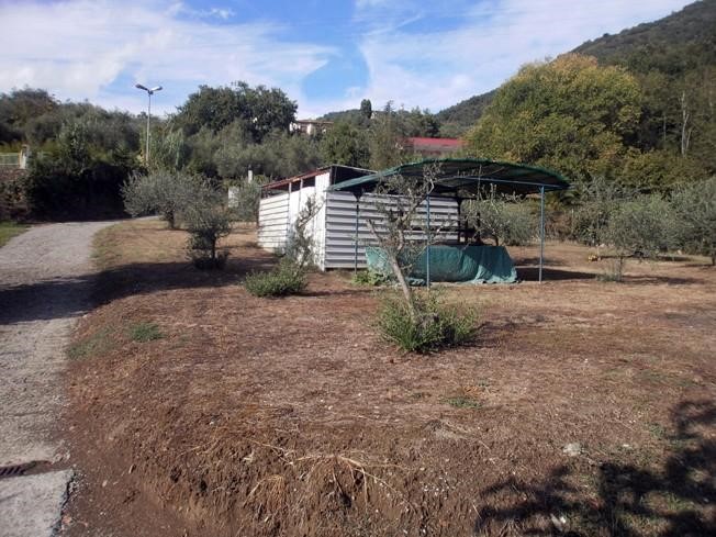 Terreno agricolo in Vendita a Carrara, zona Fossone, 30'000€, 1200 m²