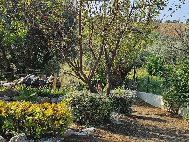 Appartamento in Vendita a Monsano, 309'000€, 115 m²