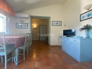 Bilocale in Affitto a Pisa, zona Tirrenia, 800€, 50 m², arredato