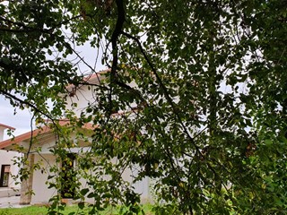 Casa Indipendente in Vendita a Poncarale, 568'000€, 243 m², con Box