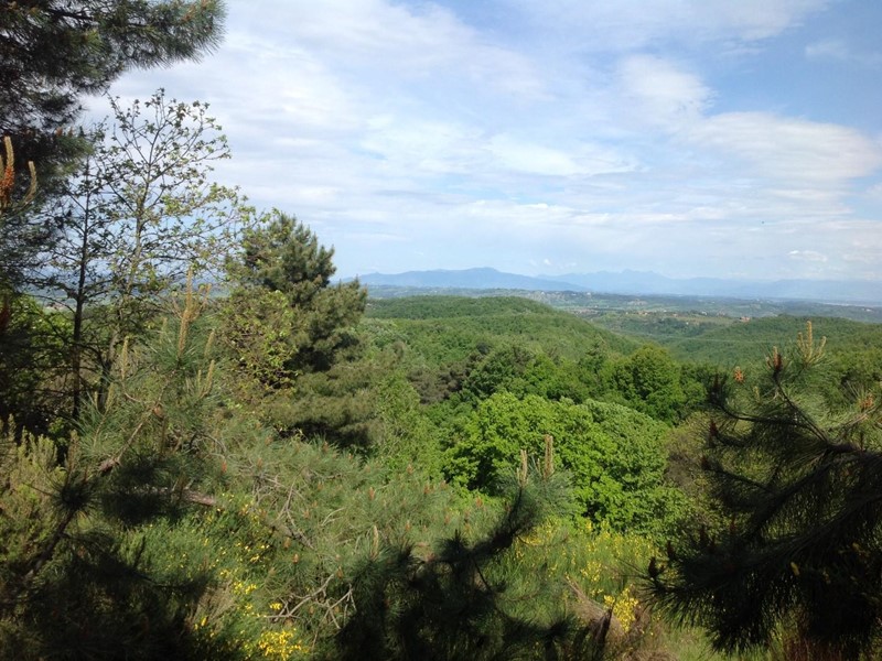 Attività commerciale in Vendita a Montaione, zona San Vivaldo, 950'000€, 450000 m²