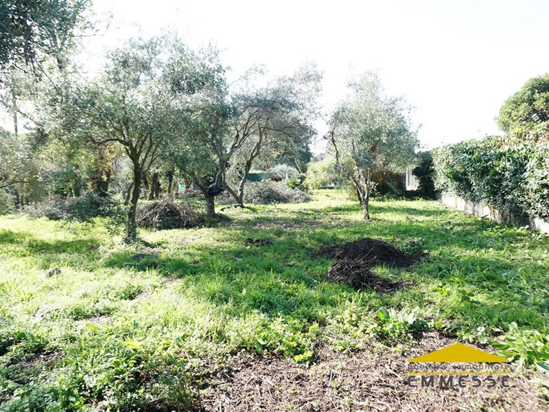 Terreno edificabile in Vendita a Massa, 50'000€, 1000 m²