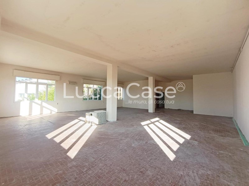Laboratorio in Affitto a Montecarlo, zona Turchetto, 880€, 220 m²