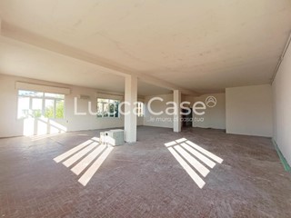 Laboratorio in Affitto a Montecarlo, zona Turchetto, 880€, 220 m²