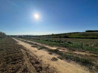 Terreno agricolo in Vendita a Crespina Lorenzana, zona Cenaia, 20'000€, 1200 m²