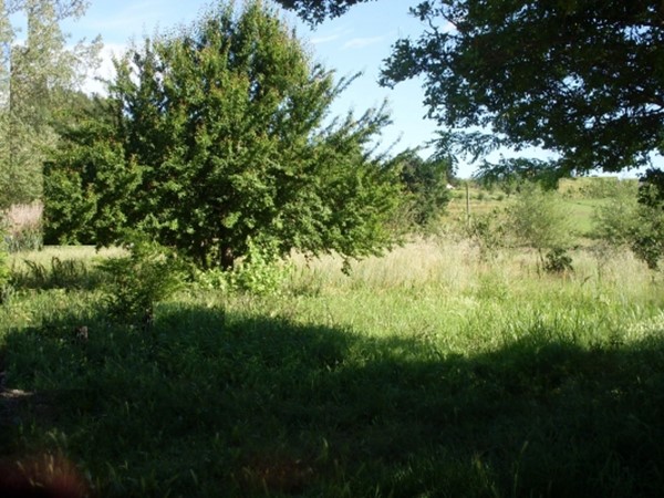 Terreno agricolo in Vendita a San Miniato, zona Balconevisi, 60'000€, 40910 m²