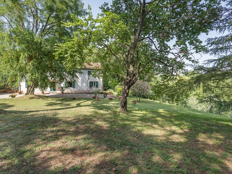 Casale in Vendita a Fauglia, 495'000€, 325 m², arredato