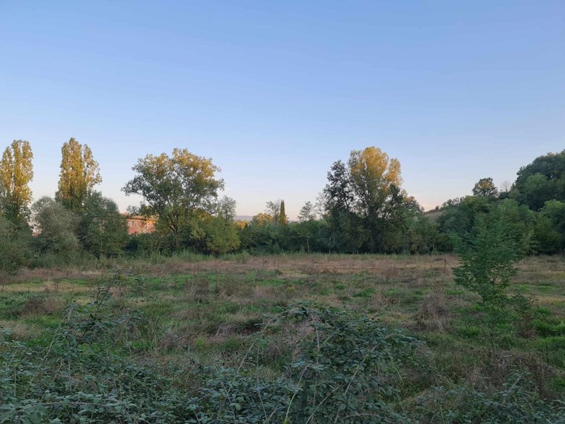 Terreno agricolo in Vendita a Colle di Val D'Elsa, zona Gracciano Dell'elsa, 48'000&euro;, 11400 m²