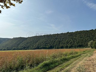 Terreno agricolo in Vendita a Arcugnano, 32'000&euro;, 34276 m²