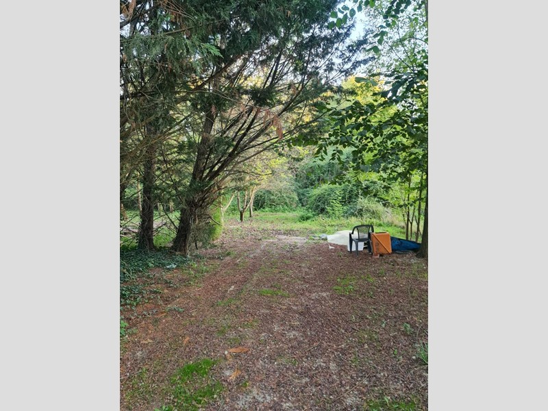 Terreno agricolo in Vendita a Colle di Val D'Elsa, 27'000&euro;, 5000 m²