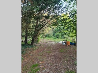 Terreno agricolo in Vendita a Colle di Val D'Elsa, 27'000€, 5000 m²