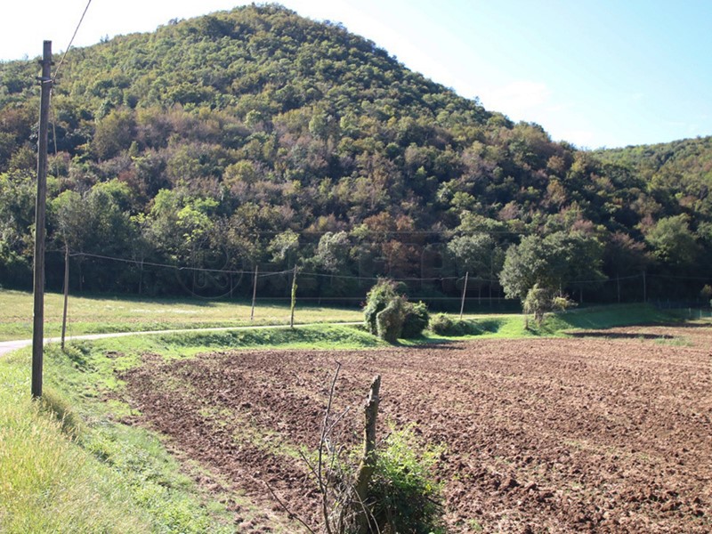 Terreno agricolo in Vendita a Arcugnano, 29'000&euro;, 28055 m²